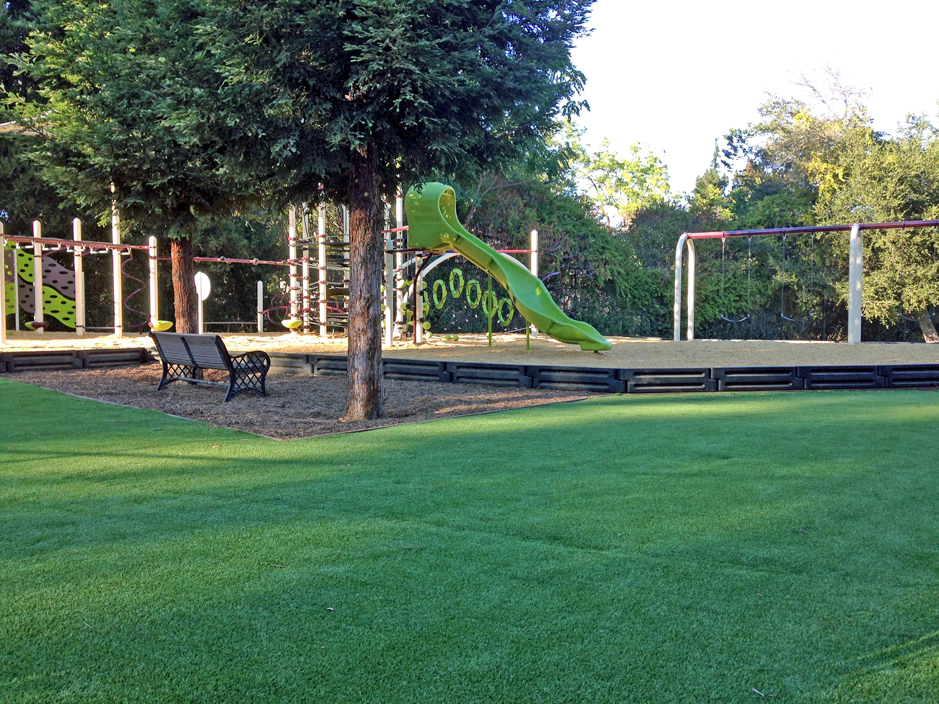 Fake Grass Carpet Gridley, Kansas Landscape Ideas, Recreational Areas