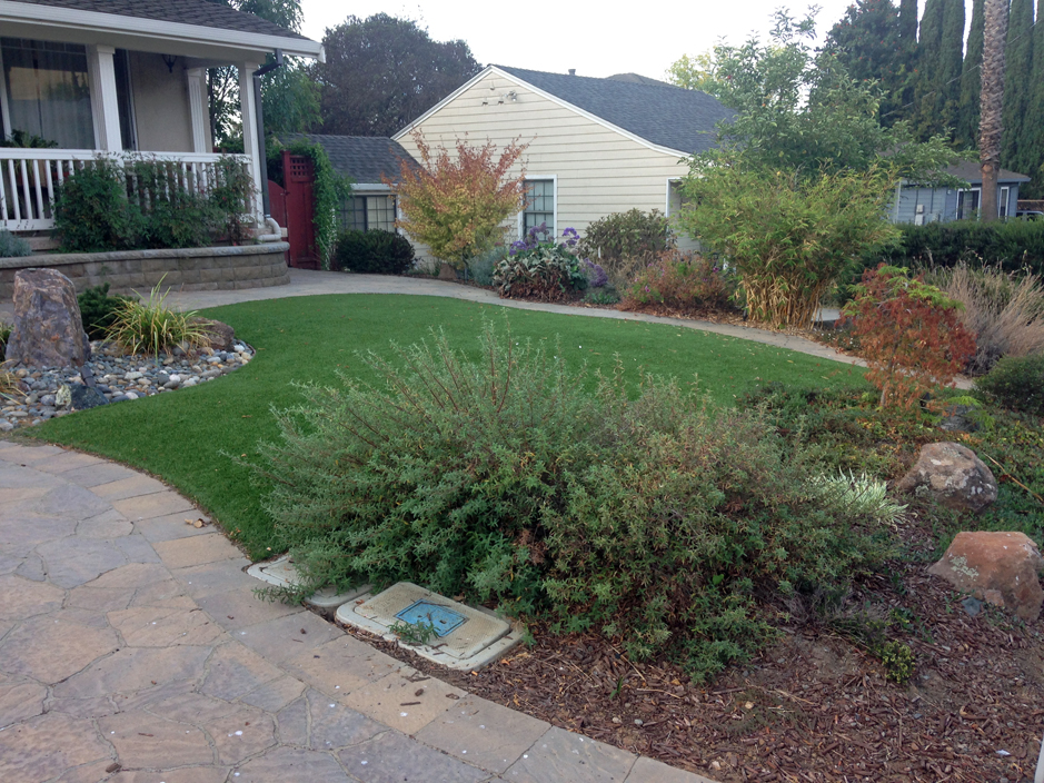 Grass Carpet Manter, Kansas Home And Garden, Front Yard