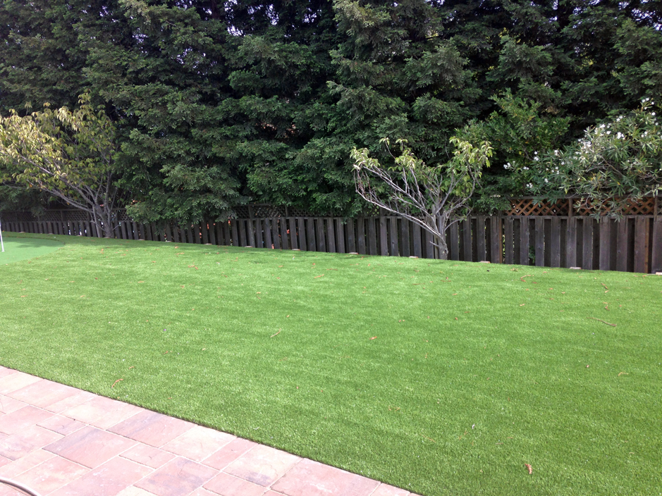 Synthetic Grass Cost Holton, Kansas Lawns, Backyards