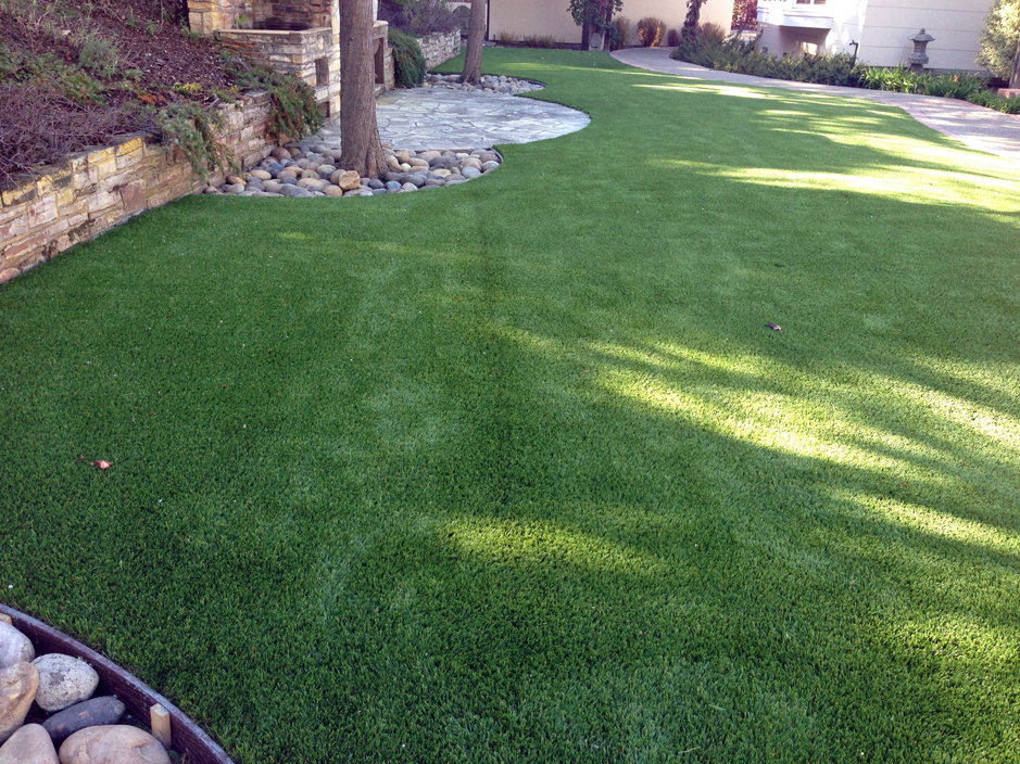 Synthetic Turf Shawnee Kansas Watch Dogs Backyard Landscape Ideas