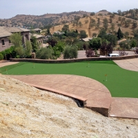 Artificial Grass Bushton, Kansas Backyard Putting Green, Backyard Ideas