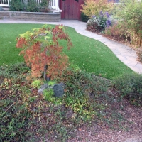 Artificial Grass Carpet Bendena, Kansas Landscape Ideas, Landscaping Ideas For Front Yard