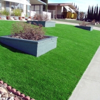 Artificial Grass Carpet Bluff City, Kansas Roof Top, Front Yard