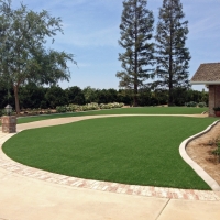 Artificial Grass Carpet Catharine, Kansas Gardeners, Front Yard Landscaping Ideas