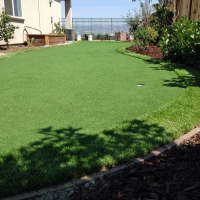 Artificial Grass Carpet Kipp, Kansas Rooftop, Backyard Ideas