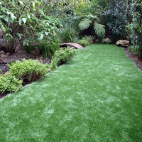 Artificial Grass Carpet Linn, Kansas Lawn And Garden, Backyard Ideas