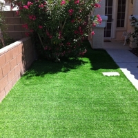 Artificial Grass Carpet McFarland, Kansas Lawn And Garden, Front Yard