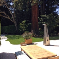 Artificial Grass Carpet Netawaka, Kansas Landscaping, Backyard