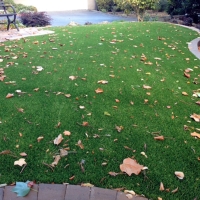 Artificial Grass Garden City, Kansas Landscape Ideas, Front Yard Landscape Ideas