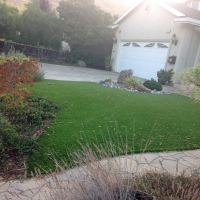 Artificial Lawn Elwood, Kansas Gardeners, Front Yard Landscaping Ideas