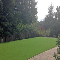 Artificial Lawn Formoso, Kansas Landscaping, Backyard Ideas