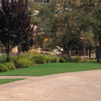 Artificial Lawn Medicine Lodge, Kansas Rooftop, Backyard Ideas