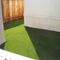 Artificial Turf Cost Belle Plaine, Kansas Lawns, Backyard Ideas