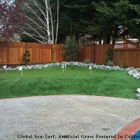 Artificial Turf Cost Rose Hill, Kansas Landscaping Business, Backyard Landscaping