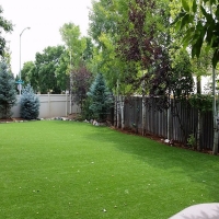 Artificial Turf Cost Willowbrook, Kansas Roof Top, Backyard Designs