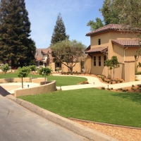 Artificial Turf Enterprise, Kansas Landscaping, Landscaping Ideas For Front Yard