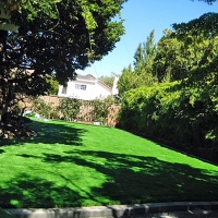 Artificial Turf Inman, Kansas Garden Ideas, Backyards