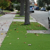 Artificial Turf Installation Benton, Kansas Home And Garden, Front Yard Landscape Ideas