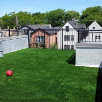 Artificial Turf Installation Gypsum, Kansas Dog Running, Deck