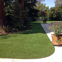 Artificial Turf Installation Neosho Rapids, Kansas Dog Run, Front Yard Landscape Ideas