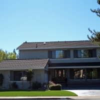 Artificial Turf Levant, Kansas City Landscape, Front Yard Landscaping
