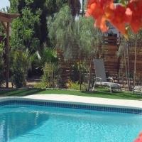 Artificial Turf Liberty, Kansas Garden Ideas, Backyard Landscaping Ideas