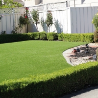 Artificial Turf Mulberry, Kansas Roof Top, Backyard Designs