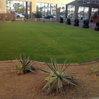 Artificial Turf Pleasanton, Kansas Landscaping, Commercial Landscape