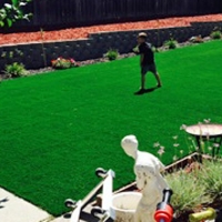 Best Artificial Grass Princeton, Kansas Backyard Deck Ideas, Backyard Landscaping