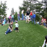 Fake Grass Carpet Ashland, Kansas Gardeners, Parks