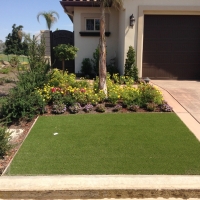 Fake Grass Carpet Carbondale, Kansas Landscape Design, Front Yard