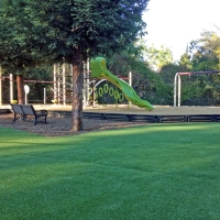 Fake Grass Carpet Gridley, Kansas Landscape Ideas, Recreational Areas