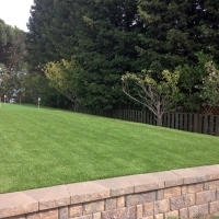 Fake Grass Carpet Mankato, Kansas Indoor Putting Greens, Backyard Ideas