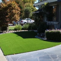 Fake Grass Carpet Minneola, Kansas Roof Top, Front Yard Landscaping Ideas