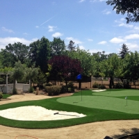 Fake Grass Carpet Rose Hill, Kansas Diy Putting Green, Small Front Yard Landscaping