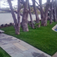 Fake Grass Carpet Roseland, Kansas Design Ideas, Small Front Yard Landscaping