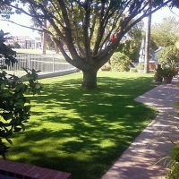 Fake Grass Carpet Stark, Kansas Landscaping Business