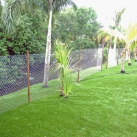 Fake Grass Harveyville, Kansas Landscaping Business, Backyard Landscaping Ideas