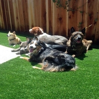 Fake Grass Lorraine, Kansas Pet Turf, Backyards