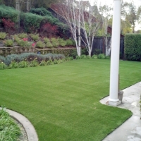 Fake Grass Saint George, Kansas Artificial Grass For Dogs, Backyard Landscape Ideas