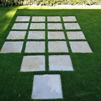 Fake Lawn Treece (historical), Kansas Lawn And Garden, Small Backyard Ideas