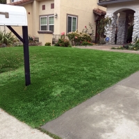Fake Turf Colwich, Kansas Lawns, Front Yard Ideas