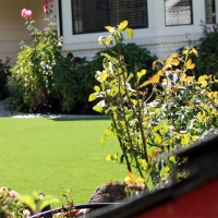 Fake Turf Courtland, Kansas Landscape Ideas, Front Yard Ideas