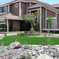 Fake Turf Hillsdale, Kansas Landscape Photos, Front Yard Landscaping