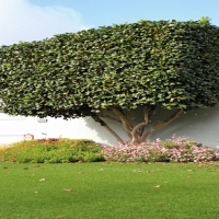 Fake Turf Latham, Kansas Lawns, Front Yard Landscape Ideas
