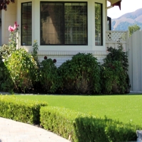 Fake Turf Mahaska, Kansas Lawn And Garden, Front Yard Ideas