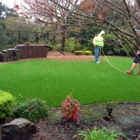 Fake Turf Oketo, Kansas Design Ideas, Backyard Design
