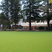 Faux Grass Elkhart, Kansas Playground Turf, Recreational Areas