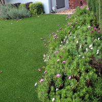 Faux Grass Norwich, Kansas Landscaping, Small Front Yard Landscaping