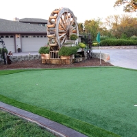 Faux Grass Schoenchen, Kansas Gardeners, Front Yard Design